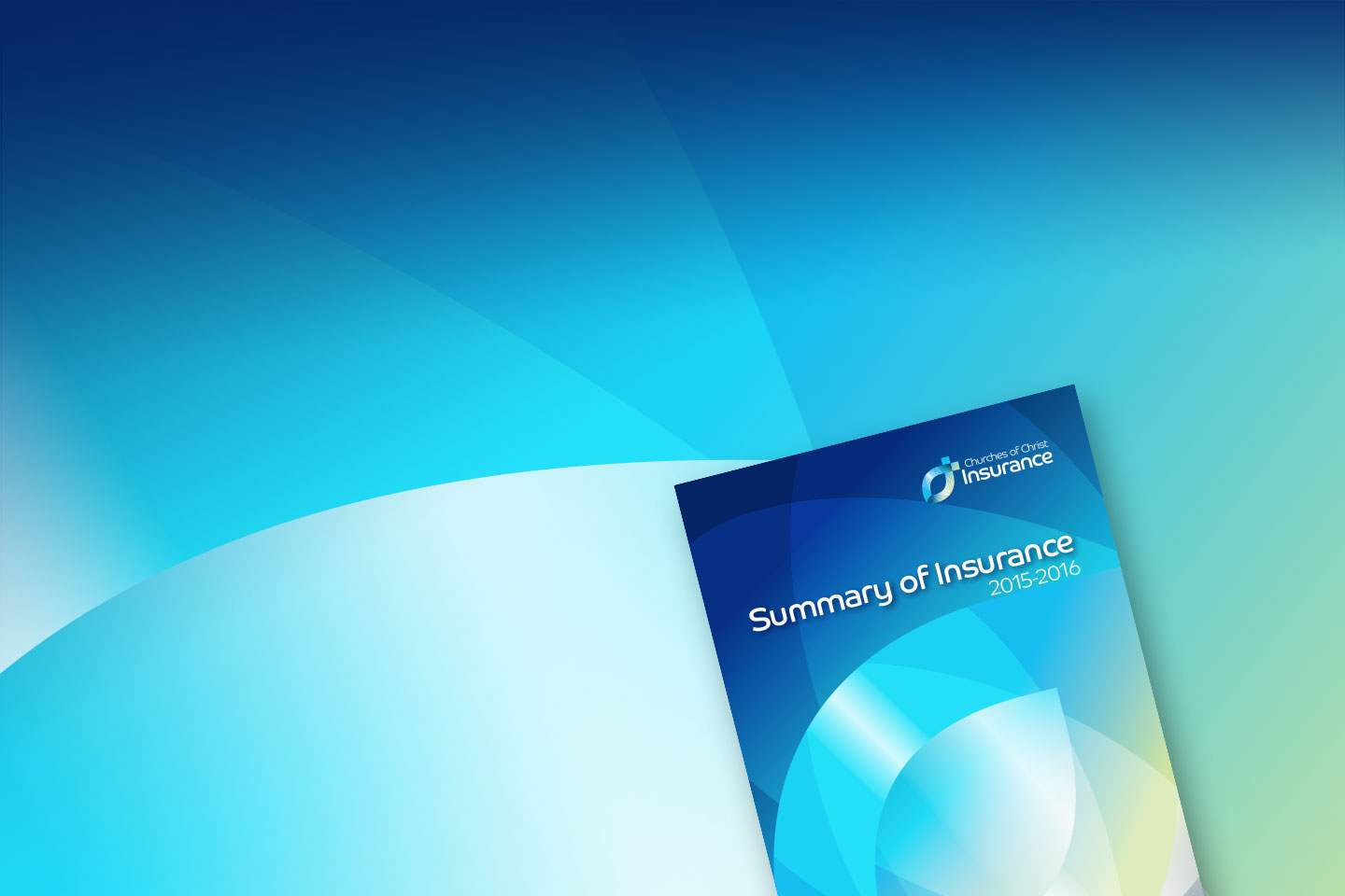 Summary of Insurance