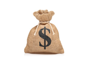 money-bag